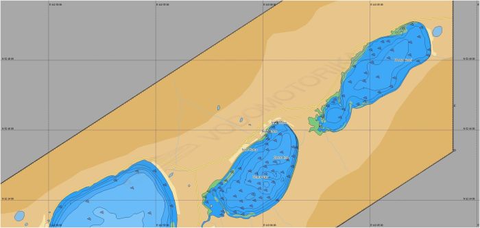 Карта Lowrance RS-N238
