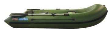 Надувная лодка ProfMarine PM 320 (CL) зеленый