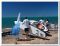 Надувная доска для SUP серфинга D7 Boards Universal XL 10.8