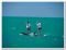 Надувная доска для SUP серфинга D7 Boards Surf 9.6