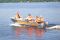Алюминиевая лодка Wellboat 46 консоль