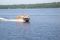 Алюминиевая лодка Wellboat 46 консоль