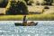 Каяк надувной трехместный Aquamarina Tomahawk AIR - C 3 ( арт. Air-C )