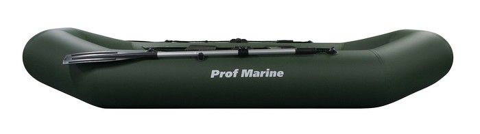 Лодка ProfMarine PM 280 зеленый