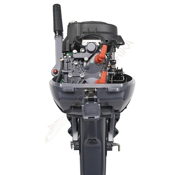 Лодочный мотор ALLFA CG T9.9 (9.9 л.с. двухтактный) (синий, зеленый, красный)