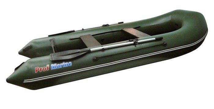 Надувная лодка Profmarine PM 300 EL 12 зеленый