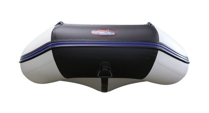 Надувная лодка ProfMarine PM 320 (CL) комби